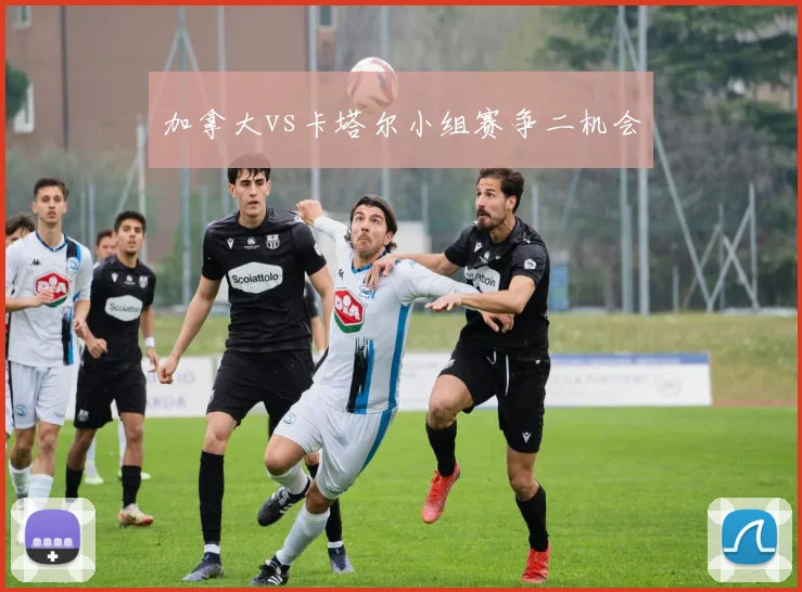 加拿大vs卡塔尔小组赛争二机会