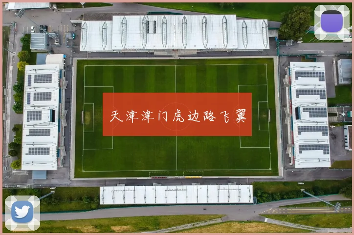天津津门虎边路飞翼