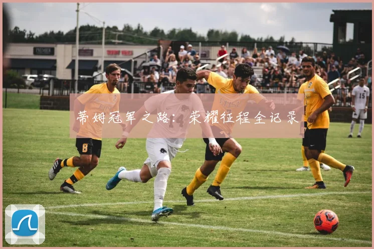 蒂姆冠军之路：荣耀征程全记录