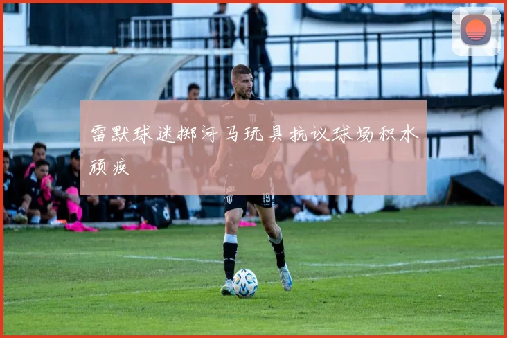 雷默球迷掷河马玩具抗议球场积水顽疾