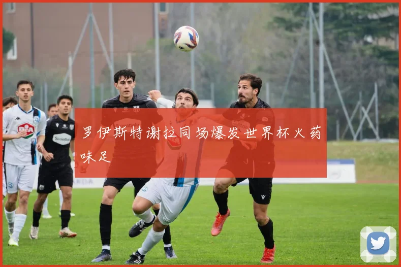 罗伊斯特谢拉同场爆发世界杯火药味足