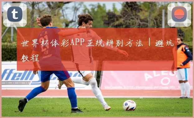 世界杯体彩APP正规辨别方法|避坑教程