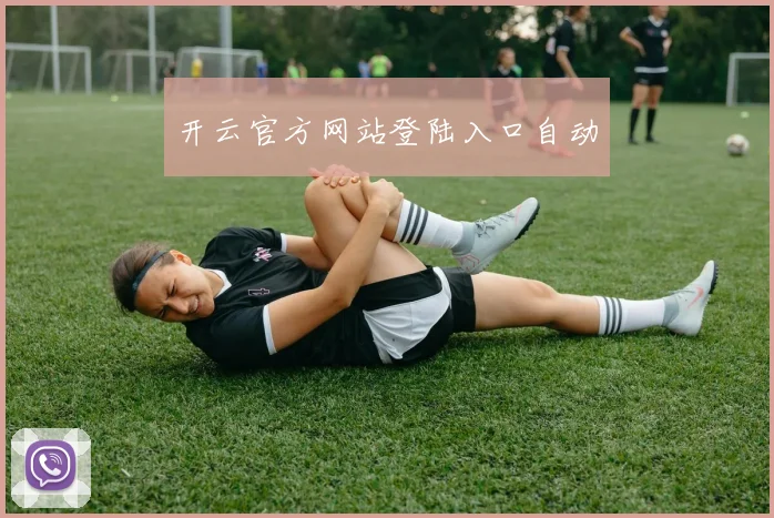 开云官方网站登陆入口自动