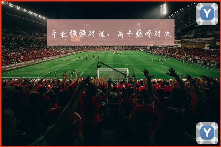 辛杜强强对话，高手巅峰对决