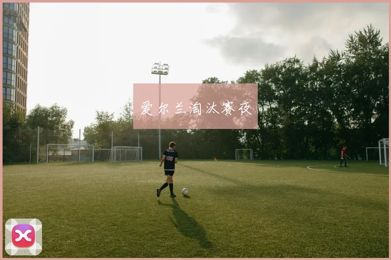 爱尔兰淘汰赛夜