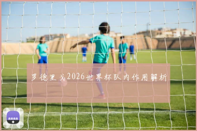 罗德里戈2026世界杯队内作用解析