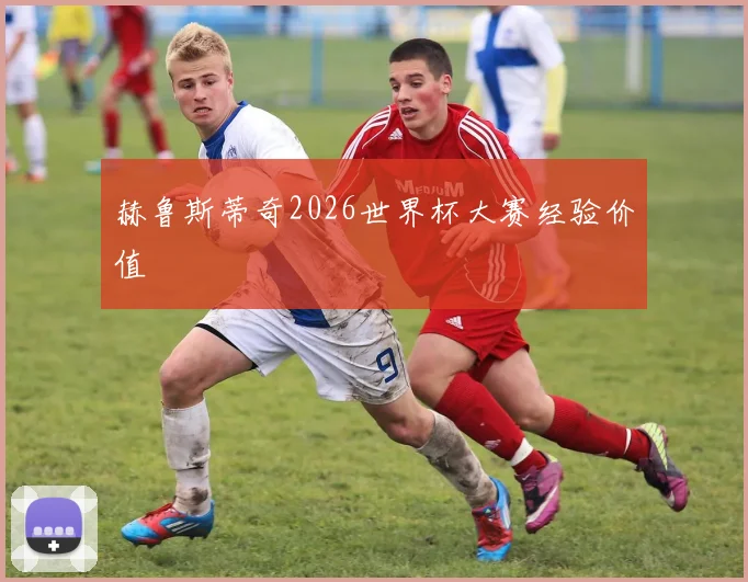 赫鲁斯蒂奇2026世界杯大赛经验价值