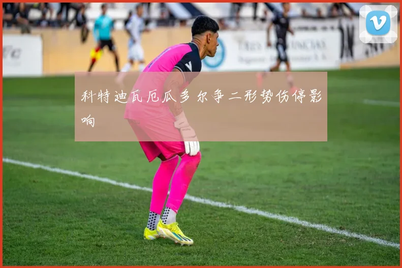 科特迪瓦厄瓜多尔争二形势伤停影响
