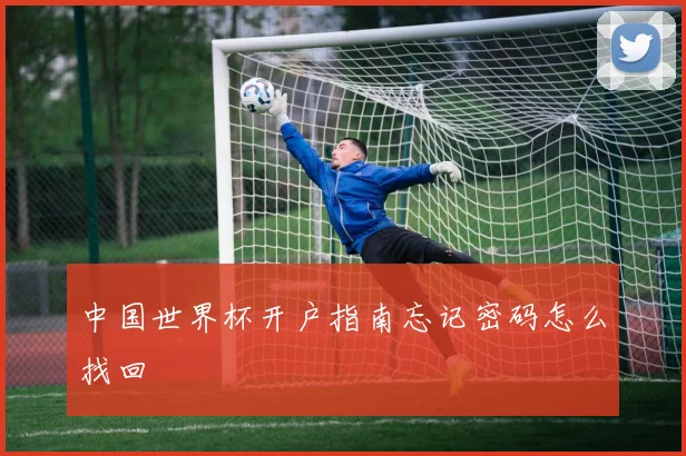 中国世界杯开户指南忘记密码怎么找回