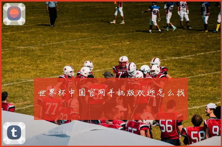 世界杯中国官网手机版欢迎怎么找